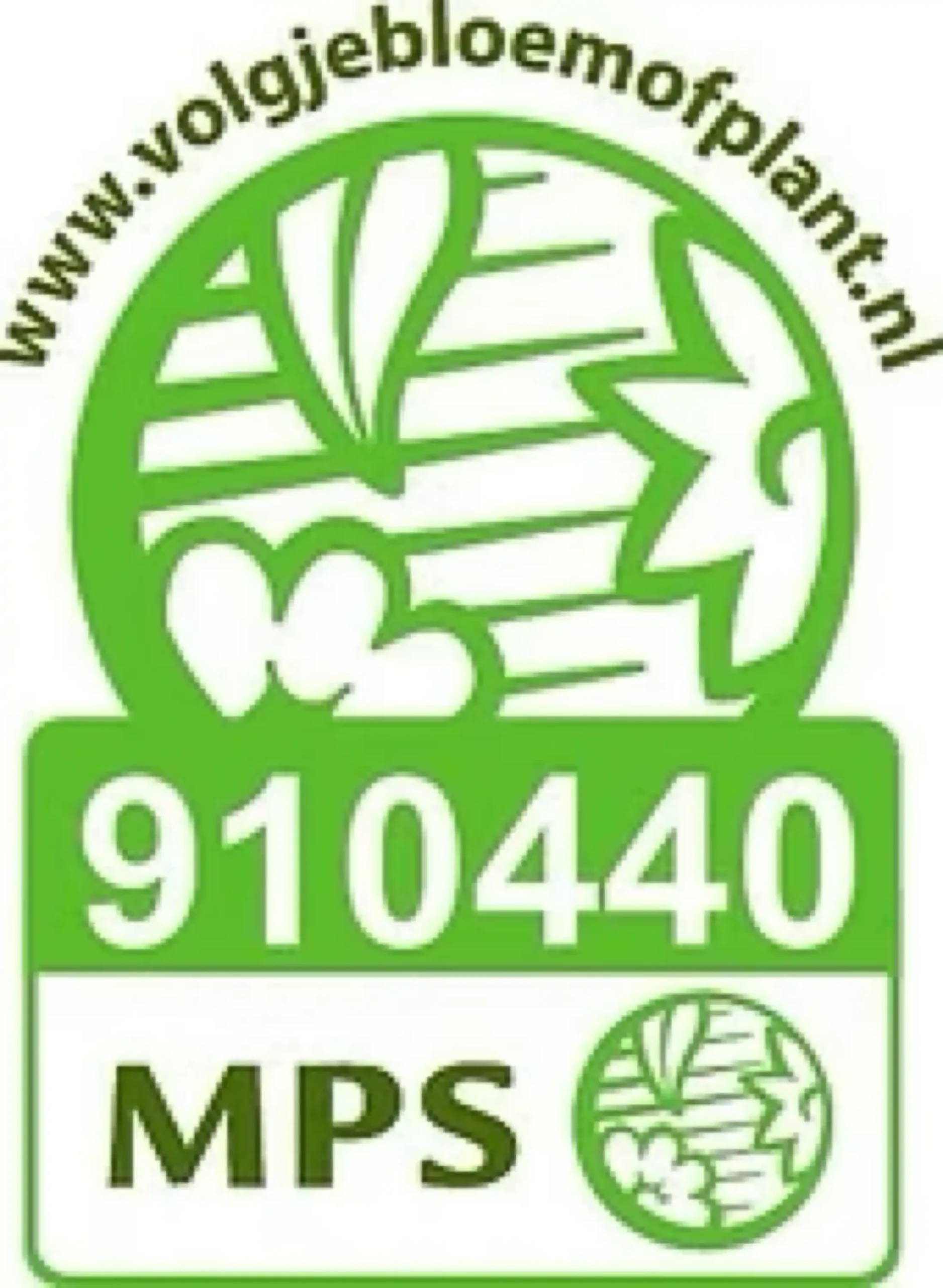 MPS